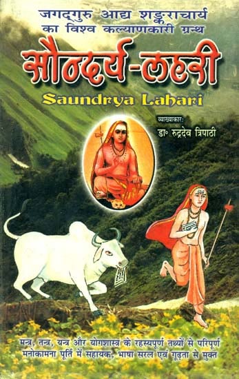 सौन्दर्य लहरी (संस्कृत एवं हिंदी अनुवाद)- Saundarya Lahari with Detailed Explanation in Hindi