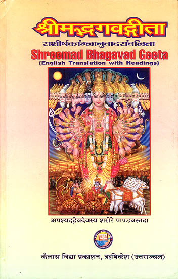 Shreemad Bhagavad Geeta (English Translation With Headings)