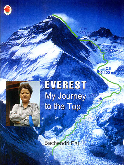 Everest My Journey to The Top