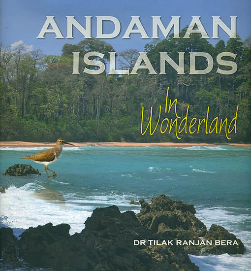 Andaman Islands in Wonderland