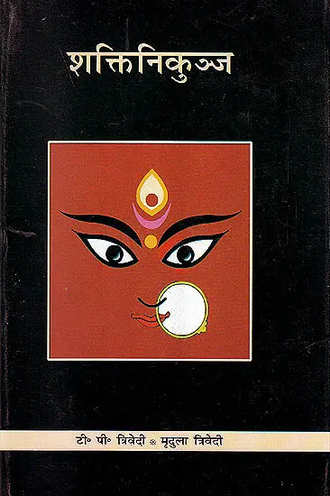 शक्ति निकुञ्ज: Shakti Nikunj (Hindi Only)