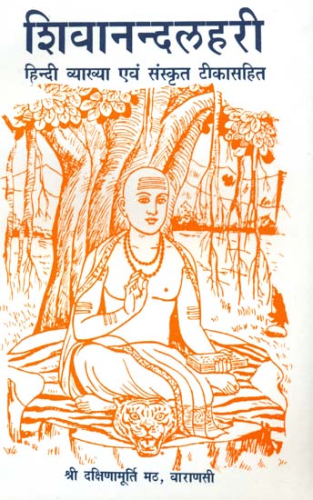 शिवानन्दलहरी: Shivananda Lahari  (संस्कृत एवम् हिन्दी अनुवाद) - Word-to-Word Meaning and Detailed Explanation