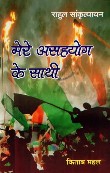 मेरे असहयोग के साथी: My Colleagues in the Non-Cooperation Movement
