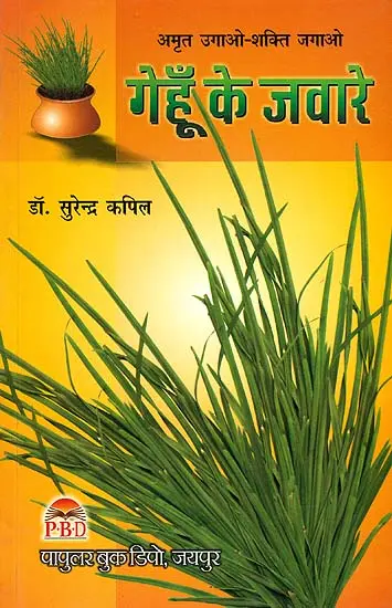 गेहुँ के जवारे: The Elixir of Life – Wheat Grass Juice