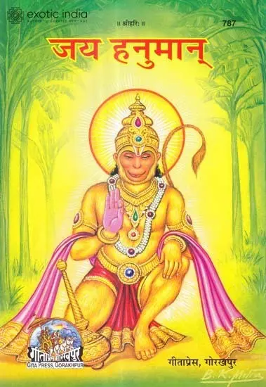 जय हनुमान्: Jai Hanuman (Picture Book)