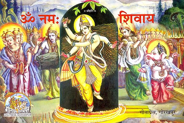 ॐ नम: शिवाय - Om Namah Shivai (Picture Book)