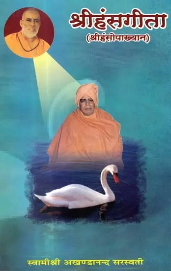 श्री हंसगीता: Shri Hansa Gita