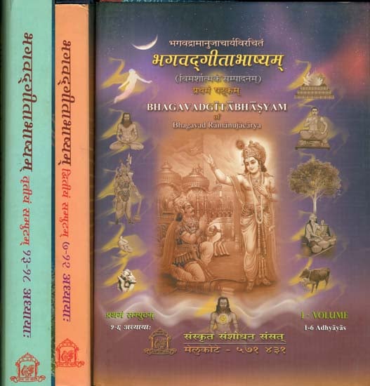 भगवद्गीताभाष्यम्: Ramanuja's Commentary on the Gita with Explanation (Set of 3 Volumes)