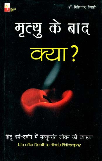 मृत्यु के बाद क्या? (हिन्दू धर्म-दर्शन में मृत्युपरांत जीवन की व्याख्या) - Life After Death in Hindu Philosophy
