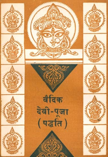 वैदिक देवी पूजा (पद्धति) - Vedic Method of Worshipping Goddess