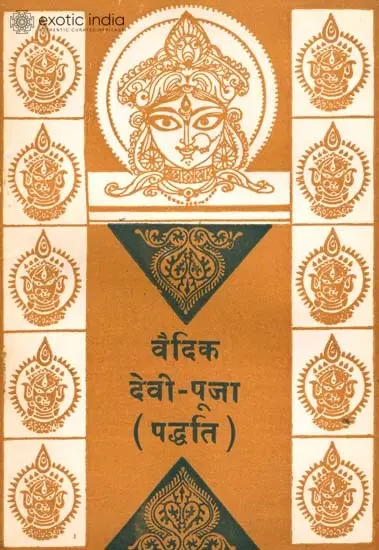 वैदिक देवी पूजा (पद्धति) - Vedic Method of Worshipping Goddess