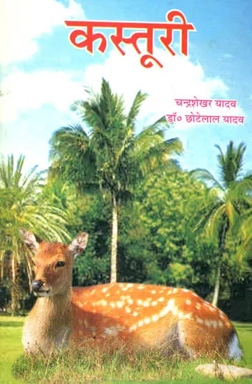 कस्तूरी: Kasturi (The Deer)