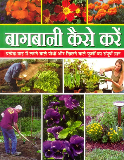 बागबानी कैसे करें: How to Do Gardening