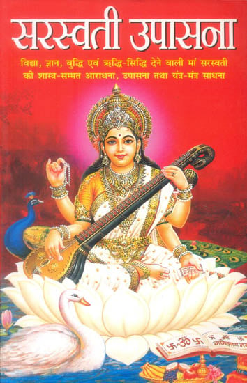 सरस्वती उपासना: How to Worship Goddess Saraswati