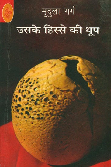 उसके हिस्से की धूप: A Hindi Novel
