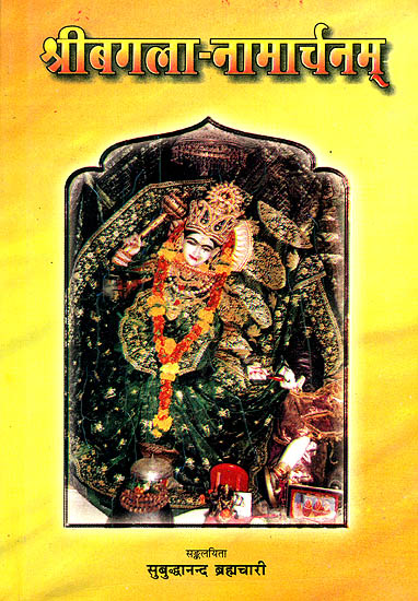 श्रीबगला नामार्चनम्: Worshipping Goddess Bagalamukhi Through Her Divine Names