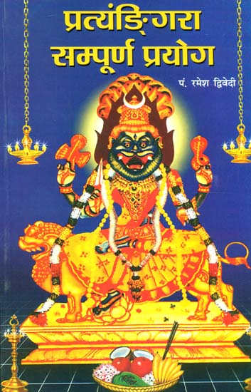 प्रत्यंडिंगरा सम्पूर्ण प्रयोग: Method of Worshipping Goddess Pratyangira