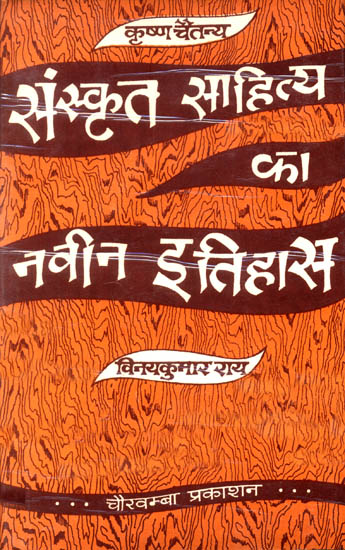 संस्कृत साहित्य का नवीन इतिहास: A New History of Sanskrit Literature by Krishna Chaitanya