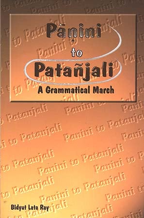 Panini to Patanjali: A Grammatical March