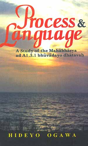 Process and Language A Study of the Mahabhasya ad A1.3.1 bhuvadayo dhatavah