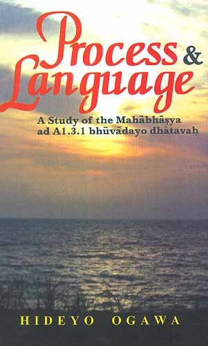 Process and Language A Study of the Mahabhasya ad A1.3.1 bhuvadayo dhatavah