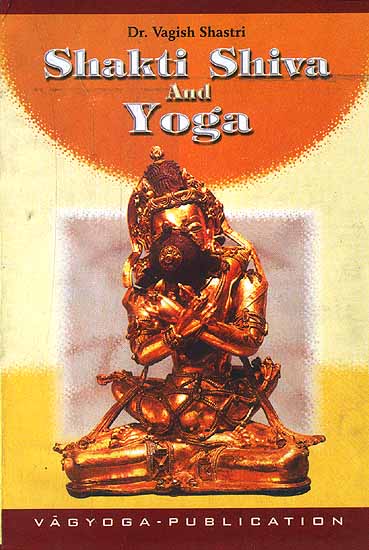 Shakti Shiva and Yoga