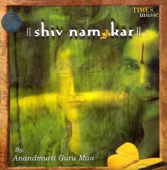 Shiv Nam Om Kar (Audio CD)