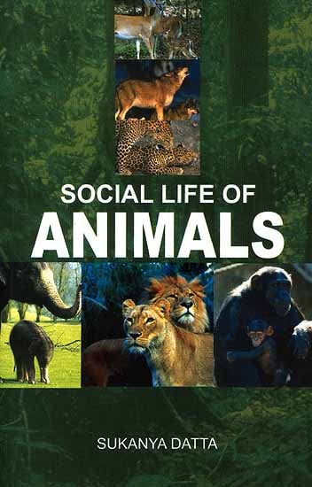 Social life of Animals
