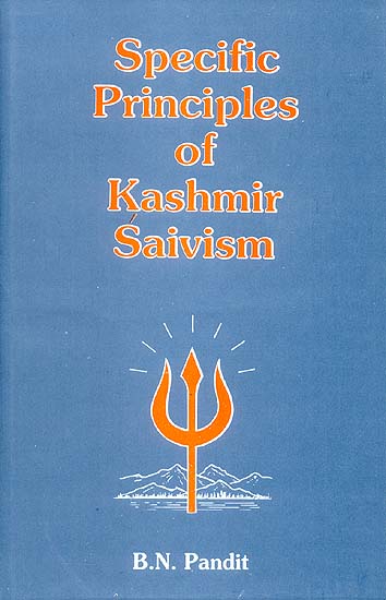 Specific Principles of Kashmir Saivism