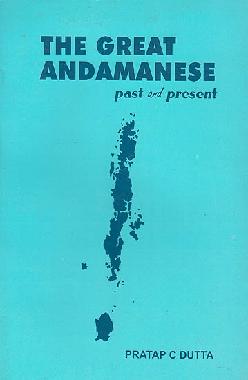 The Great Andamanese Past and Present
