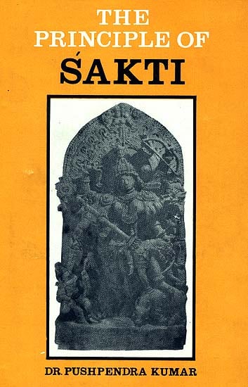 The Principle of Sakti (Shakti)