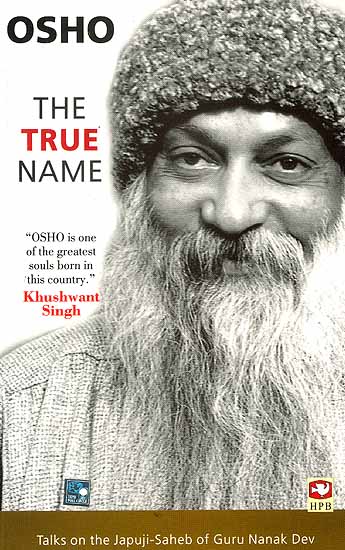 The True Name (Talks on the Japuji-Saheb of Guru Nanak Dev)