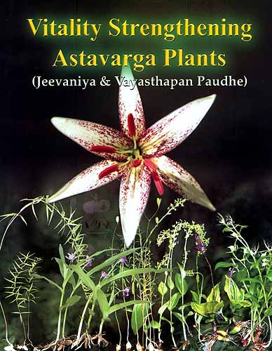 Vitality Strengthening Astavarga Plants (Jeevaniya and Vayasthapan Paudhe)