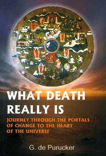 What Death Really Is Questions We All Ask