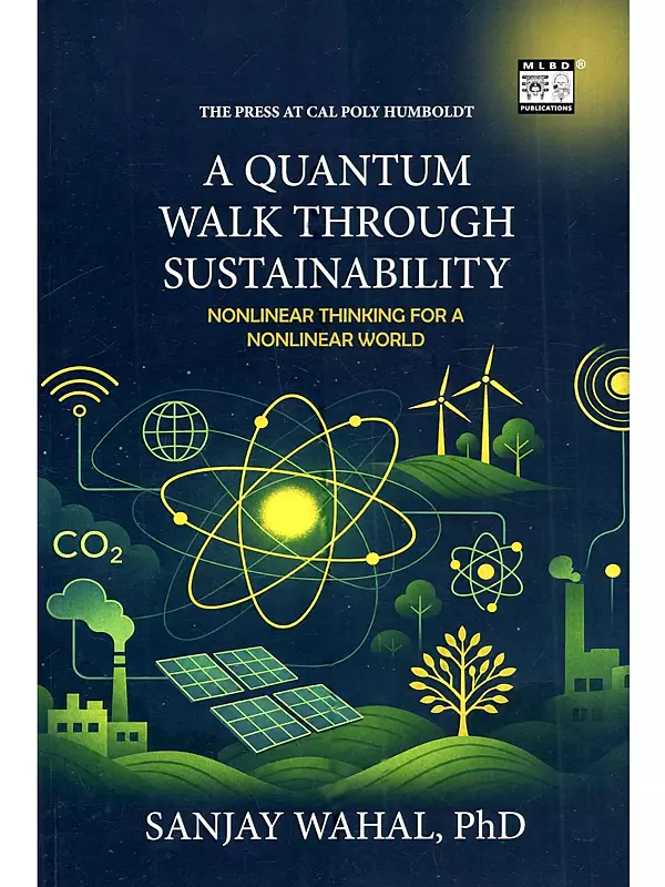 A Quantum Walk Through Sustainability: Nonlinear Thinking for a Nonlinear World