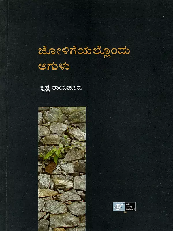 ಜೋಳಿಗೆಯಲ್ಲೊಂದು ಅಗುಳು: Joligeyallondu Agulu (Kannada)
