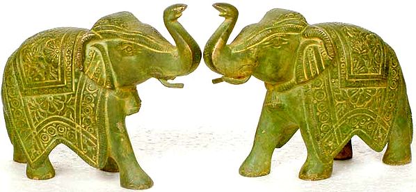 A Couple of Pachyderms