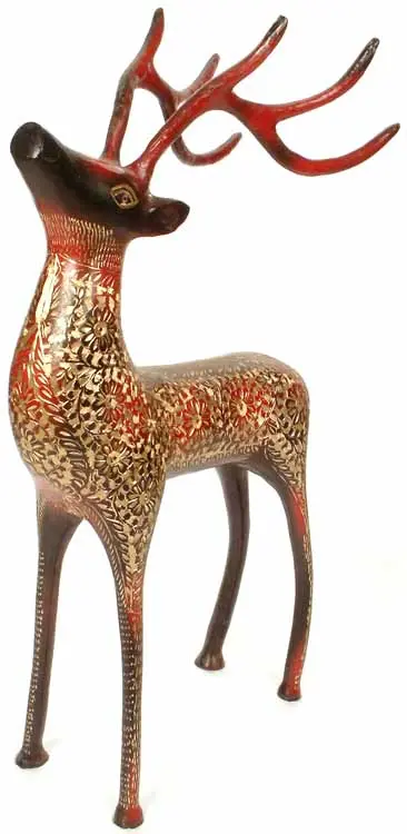 Antelope