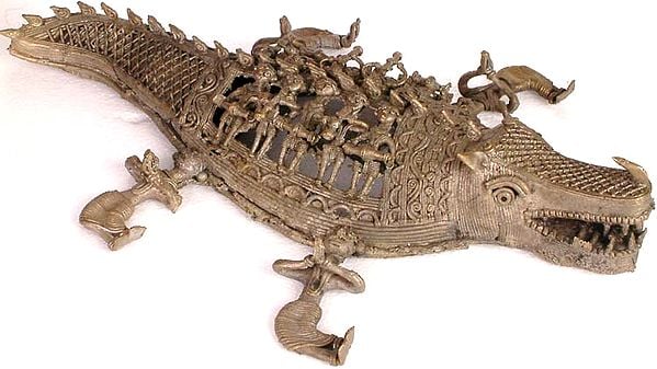 Crocodile