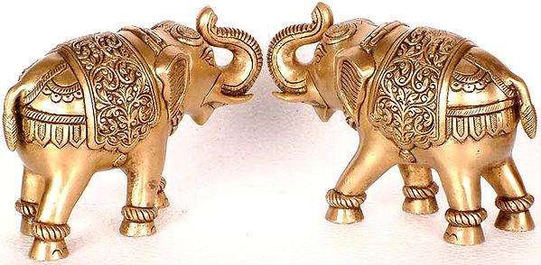 Decorated Elephants