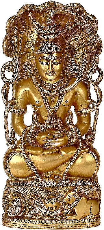 Shiva Entwined in Serpents