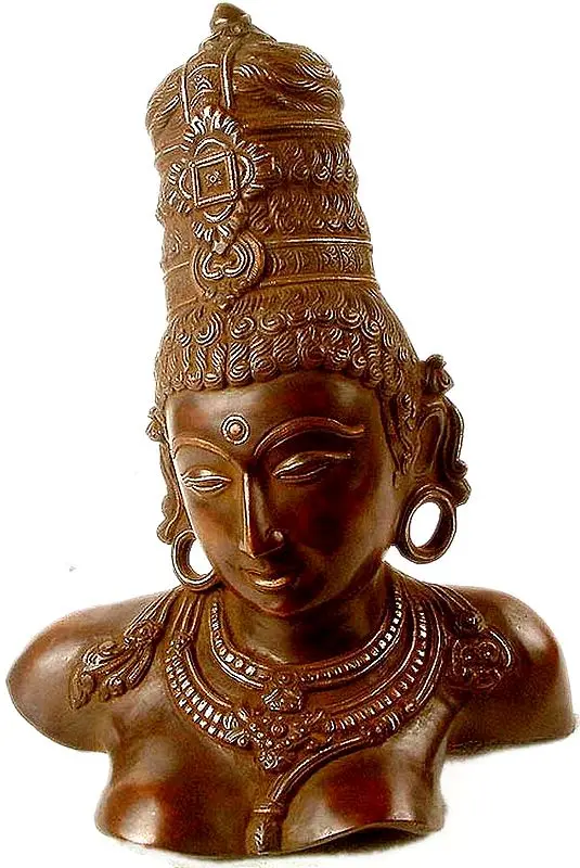 Goddess Parvati Bust
