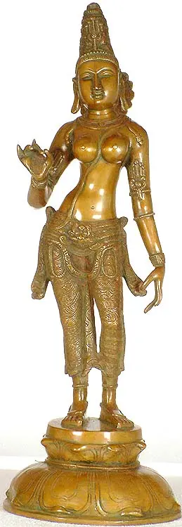 Goddess Parvati