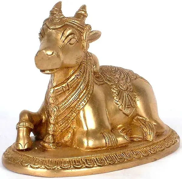 Nandi