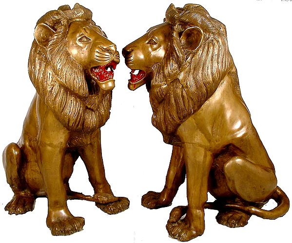 Pair Of Lions