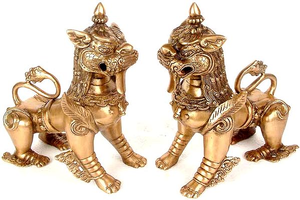 Pair of Temple Lions to Guard Your Altar