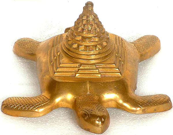Sacred Sri Yantra on Tortoise