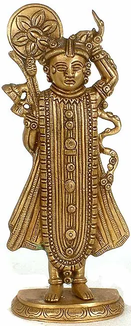 Shrinathaji