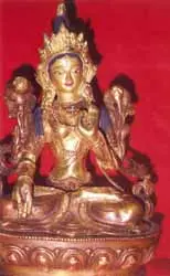 Tara