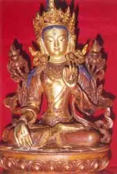 Tara
